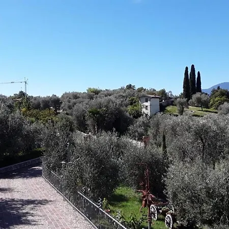 Ceccherini דירה *