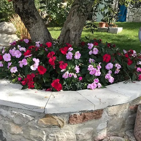 Apartment Ceccherini